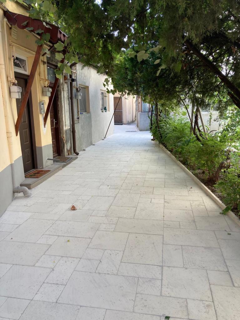 Perla Plantelor Apartman Bukarest Kültér fotó